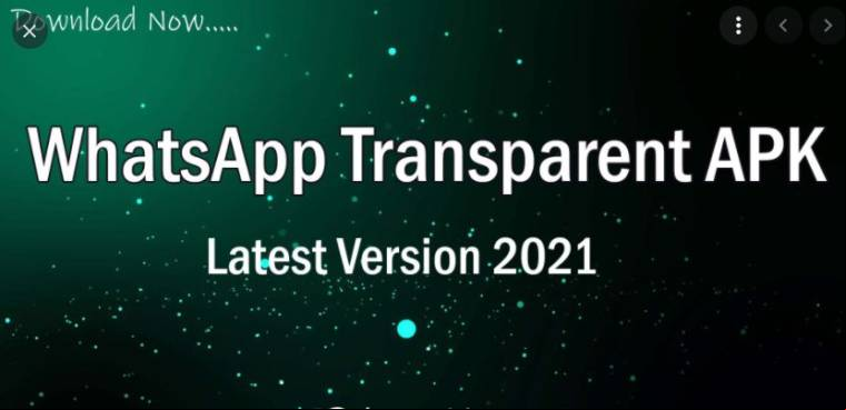WhatsApp Transparent