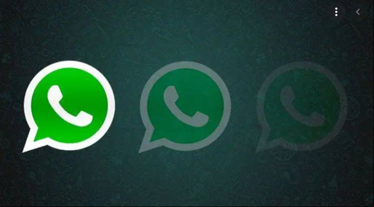 WhatsApp Transparent