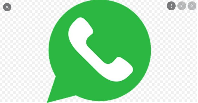 WhatsApp Transparent