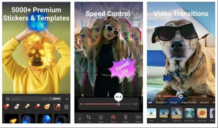 Filmora Mod Apk