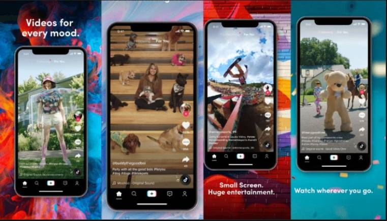Tiktok Mod APK Unban India