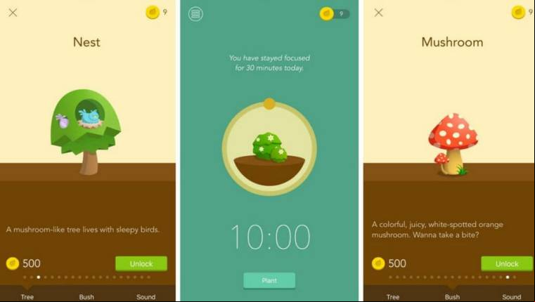 Forest Mod Apk